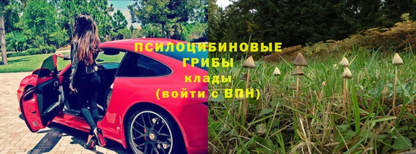 амф Алзамай