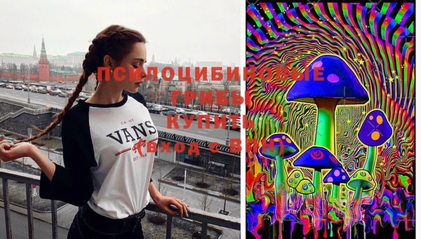 первитин Алексеевка