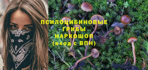 первитин Алексеевка