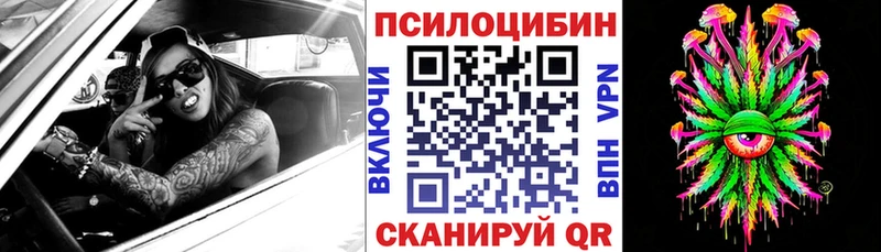 Галлюциногенные грибы Psilocybine cubensis  Купить  Тырныауз 