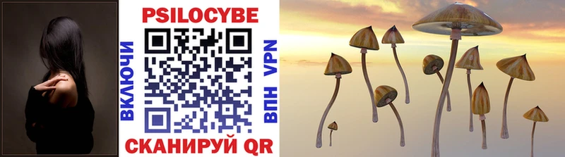 Галлюциногенные грибы Psilocybe Тырныауз